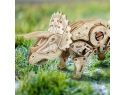 EWA Model - Triceratops